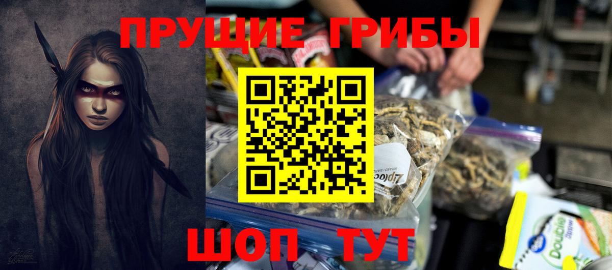 Псилоцибиновые грибы Psilocybe  Вход с VPN  Мариинск  Галлюциногенные грибы ЛСД 